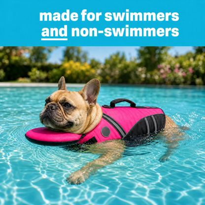 Dog swimming confidently in a pink life jacket
