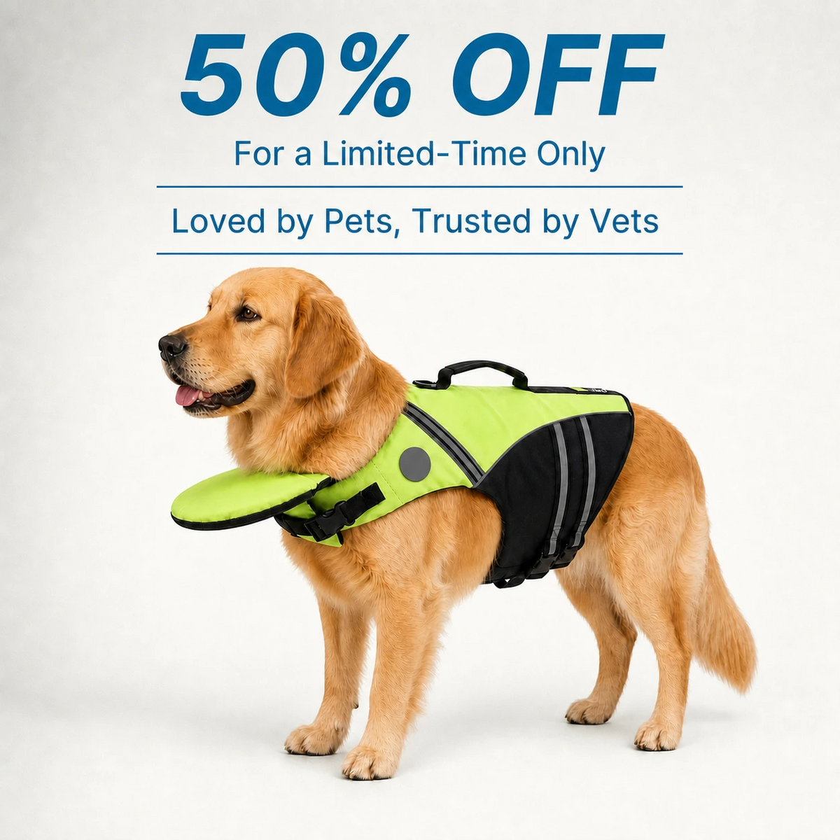 Dog wearing a bright life jacket with chin support floating calmly