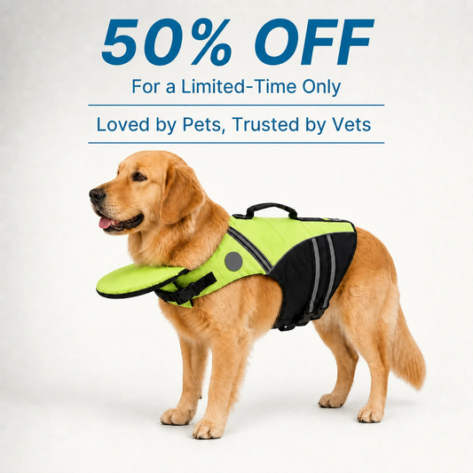 Dog wearing a bright life jacket with chin support floating calmly
