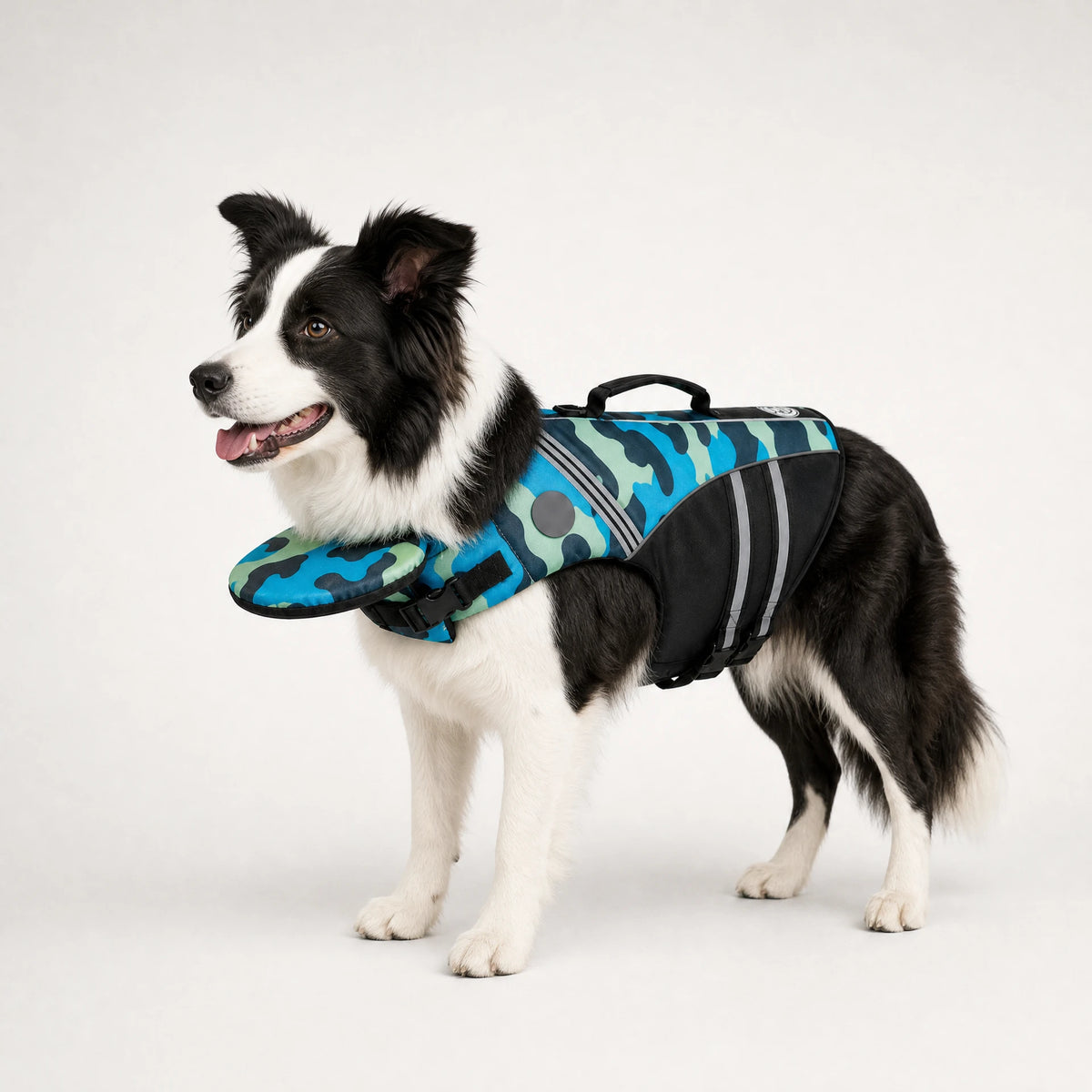 Blue camo dog life jacket on a border collie