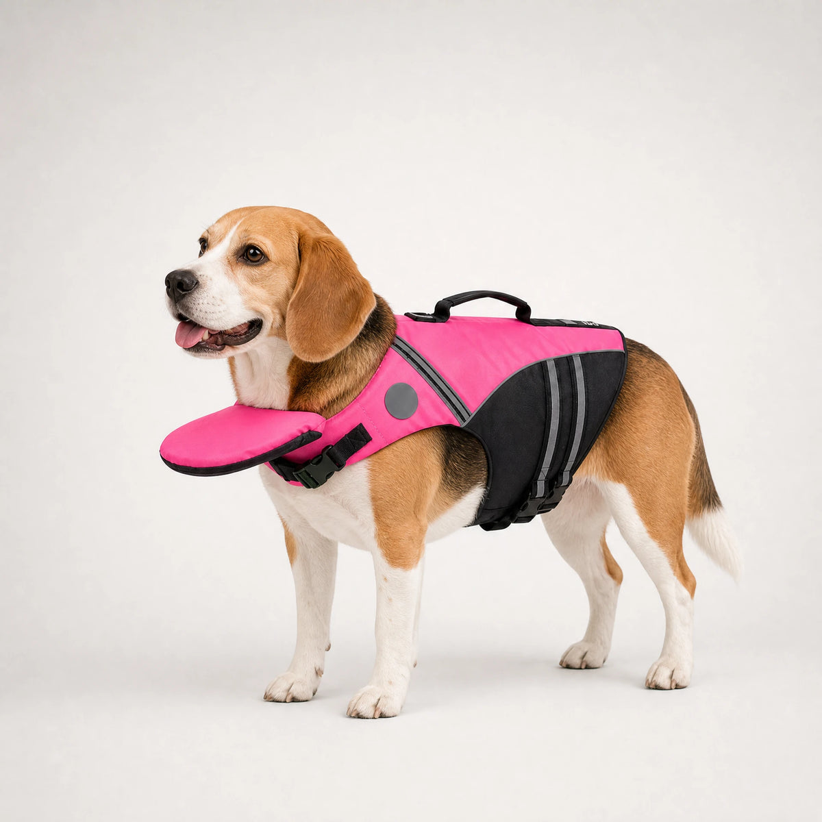 Pink dog life jacket on a beagle